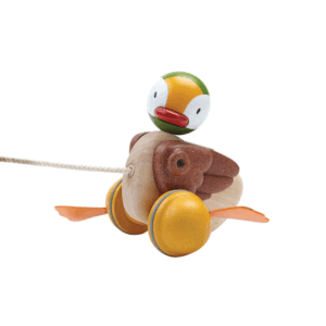 Pull Along Duck