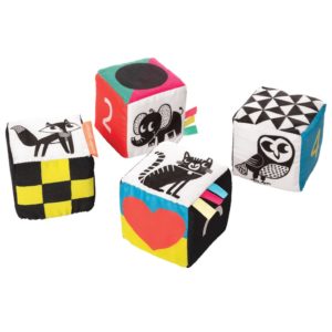 Wimmer Ferguson Mind Cubes - The Manhattan Toy Company